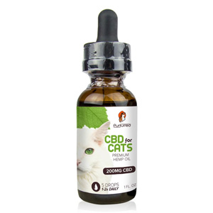 CBD Oil for Pets